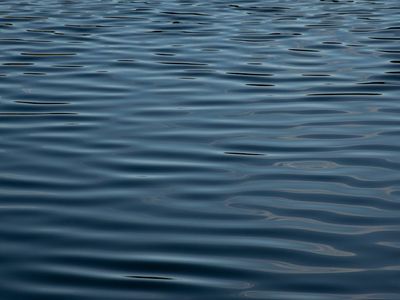 Abstract violet waves representing inner harmony and calm flow